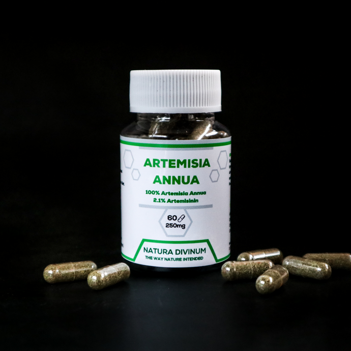 Artemisia Annua (Artennua®) Kapsulės
